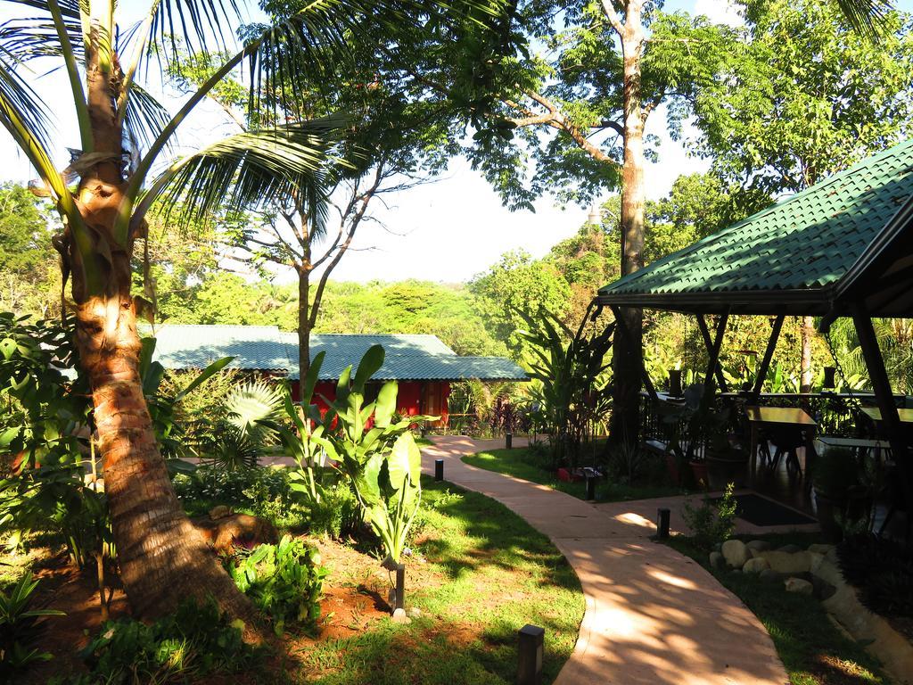 Oasis De Las Palmas Ojochal Eksteriør bilde
